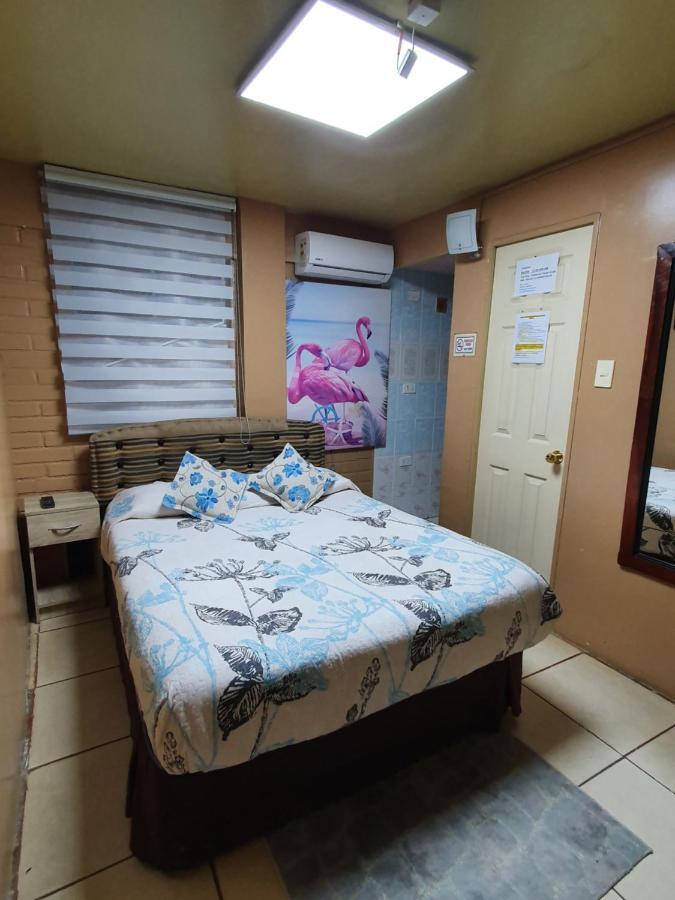 Hostal Mi Maravilla La Serena Ngoại thất bức ảnh